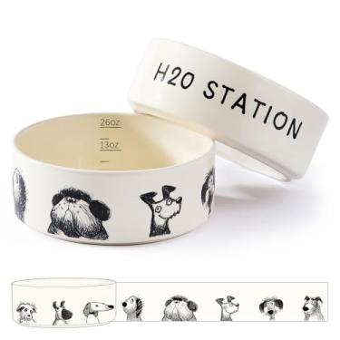 Imagem de BICOPET Tigela de cerâmica para animais de estimação, conjunto Dog-Derpy-M