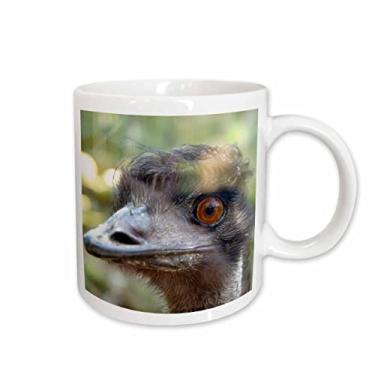Imagem de 3dRose mug_76226_1 Caneca de cerâmica "Emus, Taronga Zoo, Sydney, NSW, Austrália.-AU01 IHO0000 - Inger Hogstrom", 325 ml, multicolorido