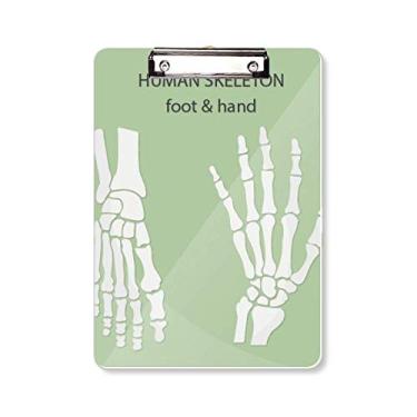 Imagem de Prancheta de mão e pé de esqueleto humano, pasta, placa de apoio A4