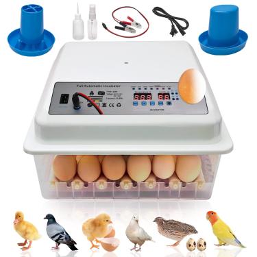 Imagem de 9TH SHOP Incubadoras para ovos para incubação, incubadora de ovos com rotação automática de ovos e controle de umidade, incubadora de ovos para frango, codorna, pato, pombo (36 ovos)