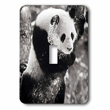Imagem de 3dRose lsp_70183_1 China, Sichuan, Urso Panda Gigante, Wolong Reserve Interruptor Único