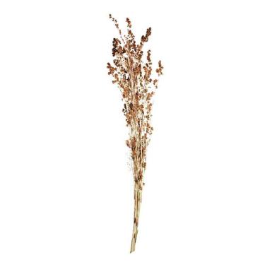 Imagem de Capim Ferrugem Desidratado - Pense Flores