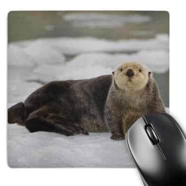 Imagem de 3dRose Lontra marinha, Glacier Holgate, Fjords Kenai, Alasca, Mouse Pad EUA, 8" x 8" (mp_141850_1)