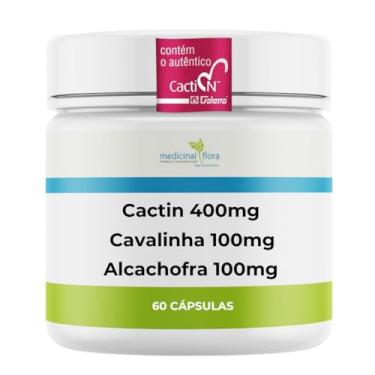 Imagem de Cactinea 400mg + Cavalinha 100mg + Alcachofra 100mg - 60 Cápsulas