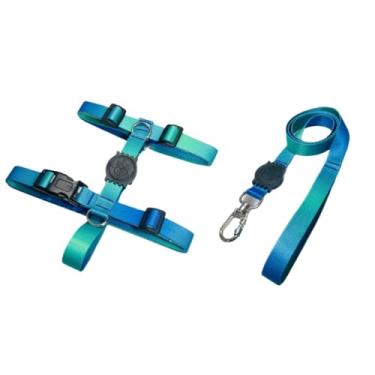 Imagem de Coleira Peitoral H Anti Puxão e Guia 1,10m para Cachorro Varias Estampas(Azul e Verde,P)