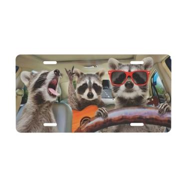 Imagem de Guaxinins tocando guitarra e óculos modernos placa de carro decorativa. Placa de metal para carro. Placa de alumínio Noverlty impermeável Colorfast 30 × 15 cm