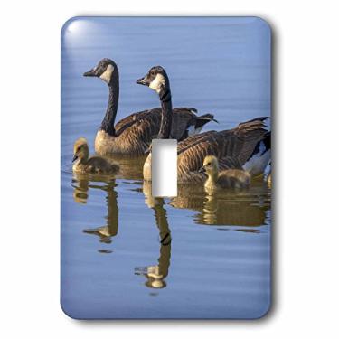 Imagem de 3dRose lsp_142897_1 Canada Goose Birds, San Francisco Bay, Califórnia EUA Us05 Tno0064 Tom Norring Interruptor único