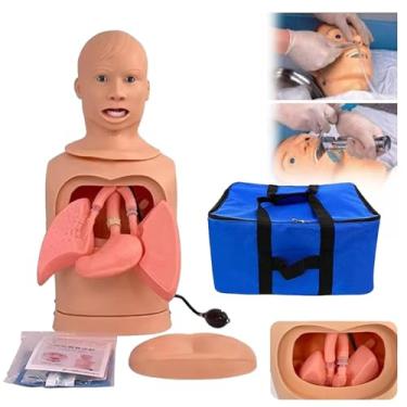 Imagem de HYUIO Modelo de tubo gástrico de intubação, manequim para treinamento avançado de tubo nasogástrico e tratamento de traqueia, lavagem gástrica, modelo simulador de traqueostomia