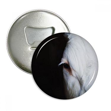 Imagem de Organizador terrestre com fotografia de animais, abridor de garrafas, ímã de geladeira, emblema multifuncional