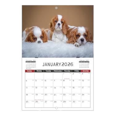 Imagem de Calendário de animais fofos – criativo e – organizador de calendário, para planejamento, estudo, casa, local de trabalho, mesa de organização familiar, escola, amigos