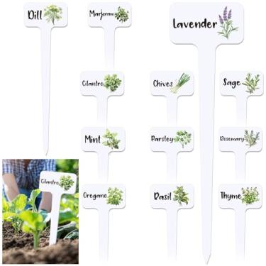 Imagem de FYSUIMU 12 peças de placas de acrílico para plantas, 12 estilos, 11,8 x 8,3 cm, marcadores de jardim de ervas tipo T, à prova d'água, etiquetas de estaca de plantas grandes com nomes de ervas para