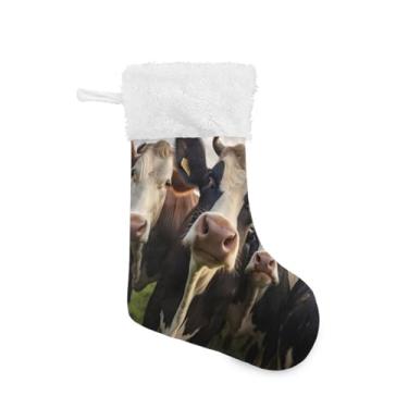 Imagem de ATTX Meias engraçadas de Natal de vaca, suportes de presente brancos de pelúcia para decorações de festas de fim de ano (17,7 polegadas, pacote com 2) #579