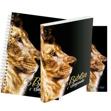 Imagem de Kit Leão Ouro - Planner + Bíblia Brochura NVT + Marca Página
