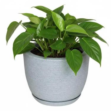 Imagem de Vaso para Plantas Decorativo Bojo Escovado 1 Cinza - CABANA DECOR