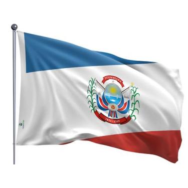 Imagem de Bandeira do Município de Itumbiara Uma Face Estampada Tamanho 90x128cm