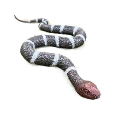 Imagem de Figura de cobra realista em preto e branco com faixas estilo Cobra F -