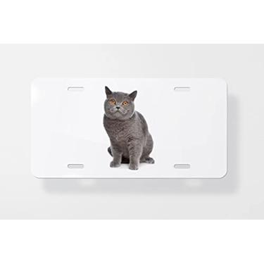 Imagem de Capa para placa de carro Blue British Shorthair Cat – Capa para placa de carro – Capa para placa de carro 15 x 30 cm
