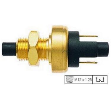 Imagem de Interruptor de Luz de Freio Troller T4 - 3RHO333