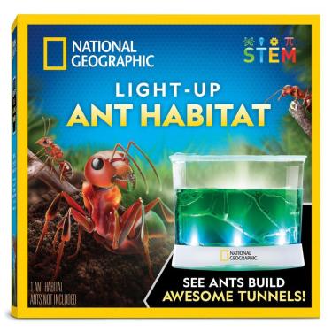 Imagem de Kit Terrário Iluminado – Brinquedo Educativo STEM “Monte Seu Mundo Dino”, DIY Plantas + Fósseis + Presente Criativo para Crianças