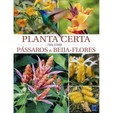 Imagem de Planta Certa Para Atrair Passaros & Beija-Flores