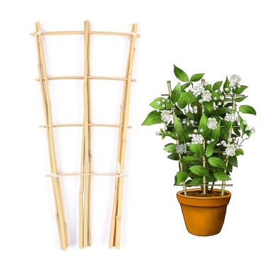 Imagem de Cambaverd Treliça em forma de leque de bambu natural 60 cm, suporte ecológico para escalar plantas, legumes e frutas – Pacote com 3 treliças