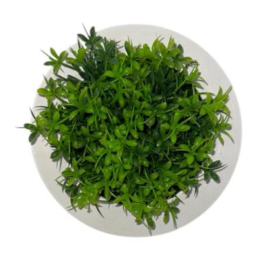 Imagem de ALDIRA Arranjos de flores artificiais com vegetação decorativa – flores falsas realistas para decoração de casa, escritório, casamentos e presentes – com opções de cor e moldura (planta de jade