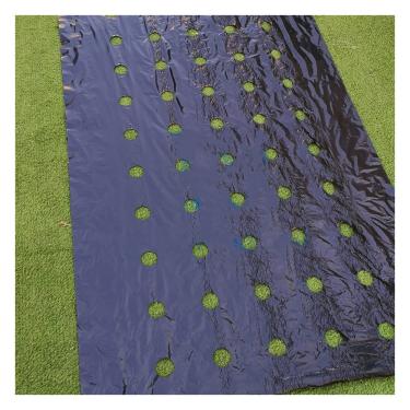 Imagem de PE Agricultural Film, 5M~50M 5Holes 95cm Width 0.02mm Black PE Film Garden Vegetable Membrane Agricultural Seeding Plastic Perforated Plants Mulching (Size : 0.95MX25M)
