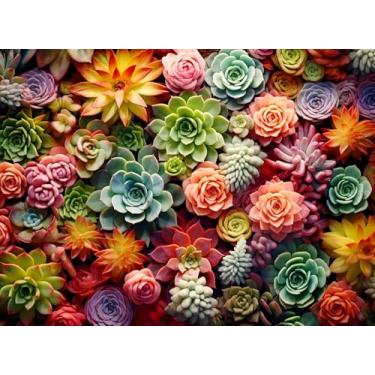 Imagem de Succulents Square Drill Diamond Painting - Succulents Square Diamond Art, Kit de pintura de pedras DIY para adultos e artesanato para presentes e decoração de parede de casa 30,5 x 40,6 cm