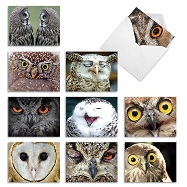Imagem de (Mini WHAT A HOOT: 10 Assorted Blank Note Cards. M1769BN) - 10 Owl Themed Note Cards with Envelopes 10cm x 13cm , Boxed Set of Assorted Blank Greeting Cards, What a Hoot' All Occasion Stationery for Birthdays, Thank Yous, Holidays M1769BN