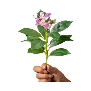 Imagem de Plantas Artificiais De Azaleia De 21-40cm, Folhas De Palmeira Tropical