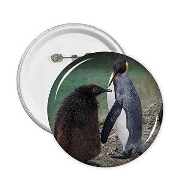 Imagem de Broche Sea Cold Antártica Pinguim Ciência Natureza Imagem Broche Emblema Acessório Decoração 5 peças