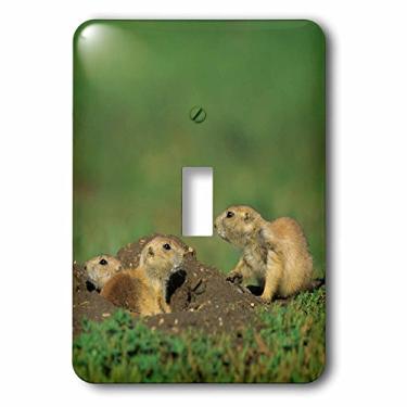 Imagem de 3dRose (lsp_259838_1) Cachorros de pradaria de cauda preta fora de sua toca, Dakota do Norte