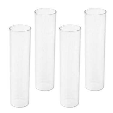 Imagem de VINTORKY 4 vasos de tubo de ensaio transparentes para hidroponia, pequenos vasos de vidro para decoração de mesa, suportes de propagação para plantas de interior