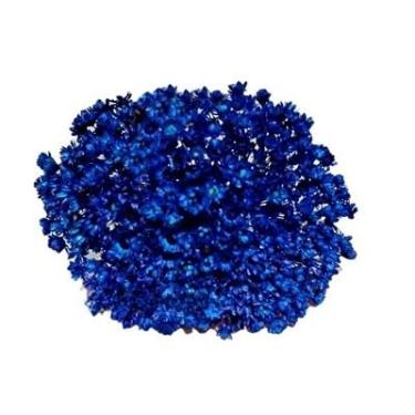 Imagem de 300 Florzinhas Sempre vivas arranjo buquê casamento chá decoração mesa Flor seca preservada(AZUL ESCURO)