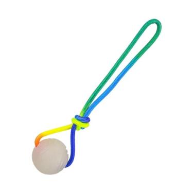 Imagem de IEUDNS Bola de adestramento para cães com corda, brinquedo para mastigar, presente para animais de estimação, ferramenta de exercício e recompensa para, 6cm