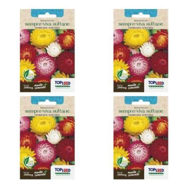 Imagem de Kit 4 Sementes De Sempre Viva Sultane Dobrada Sortida Jardim - Topseed