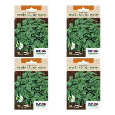 Imagem de 4x Sementes De Manjericão Genovese Topseed Para Mudas Hortas