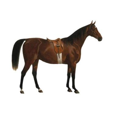 Imagem de Pôster De Arte Vintage De Cavalo E Sela Para Decoração De Parede Em Te