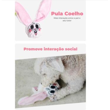 Imagem de Brinquedo pelucia c/ bola coelho cães tam m petiko