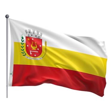 Imagem de Bandeira do Município de Maringá Dupla Face Estampada Tamanho 70x100cm