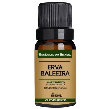 Imagem de Óleo Essencial Erva Baleeira 10Ml - Puro E Natural - Essência Do Brasi