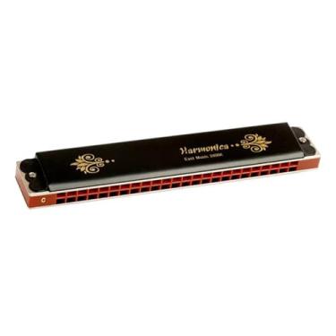 Imagem de Gaita Profissional Profissional 24 Buracos C Tune Tremolo Harmonica Instrumento de Tocar (Gm)