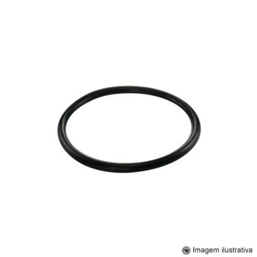 Imagem de Guarnição Módulo Combustível Blazer 2.2 4C 8V 96 ... 00 / Blazer 4.3 V6 12V 96 ... 00 / S10 2.2 4C 8V 96 ... 00