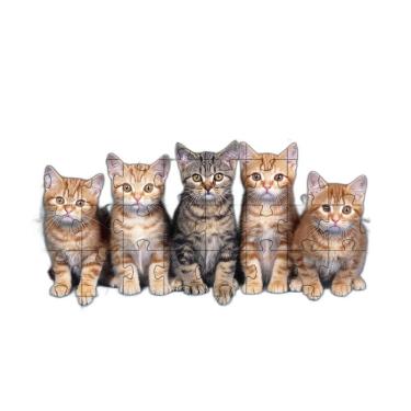 Imagem de Kit 2 Quebra-Cabeça Inclusivos Gatos Espertos 24 Peças