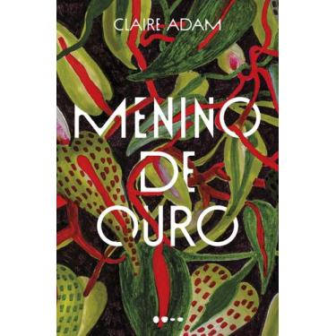 Imagem de Livro - Menino de ouro