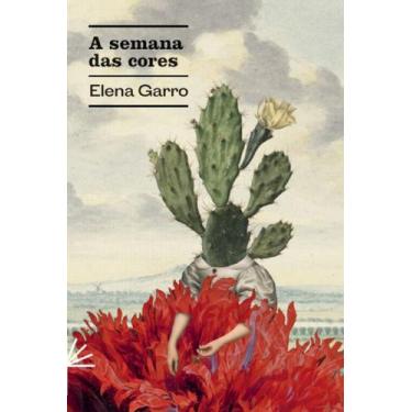 Imagem de Livro - A Semana das Cores