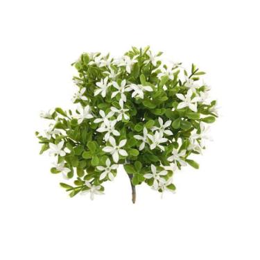 Imagem de Kalanchoe X6 (23CM) - branco