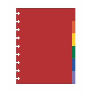 Imagem de Kit 6 Divisorias Caderno de Discos Medio 9 Furos Colorida - Best