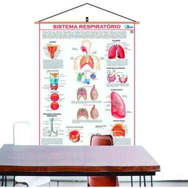 Imagem de Mapa Do Corpo Humano Sistema Respiratório Banner Laminado Com Cordinha