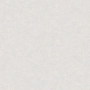 Imagem de Papel de Parede Nature Cimento Queimado Cinza TONU8003